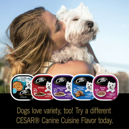 (24 Pack) CESAR Soft Wet Dog Food Classic Loaf in Sauce Chicken & Beef Recipe, 3.5 oz. Easy Peel Trays