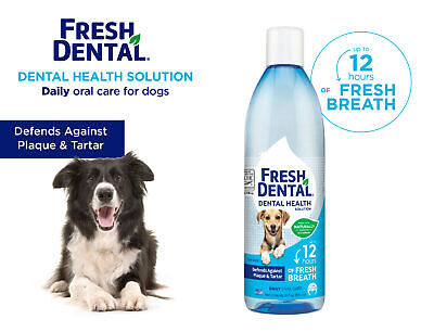 Naturel Promise Fresh Dental Dog & Cat Water Additive for Plaque & Tartar  18 oz.
