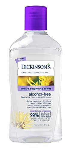 Dickinson's Alcohol Free Gentle Balancing Toner, 16 Fl Oz (B091787QXC)