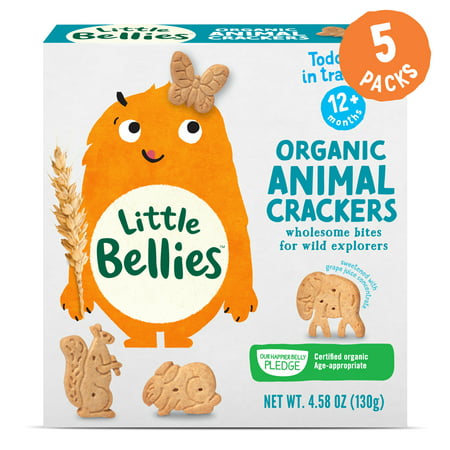 (5 Pack) Little Bellies Organic Grape Baby Snack, 4.58 oz Box