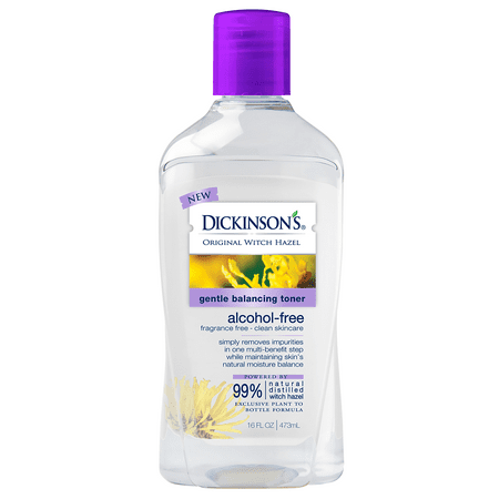 Dickinson's Alcohol Free Gentle Balancing Toner, 16 Fl Oz (B091787QXC)