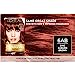 L Oreal Paris Superior Preference Fade-Defying Shine Permanent Hair Color  6AB Chic Auburn Brown  1 Kit